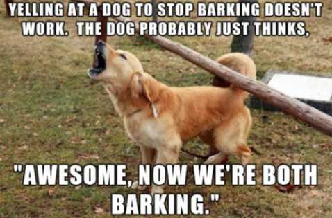 funny-dog-barking.jpg
