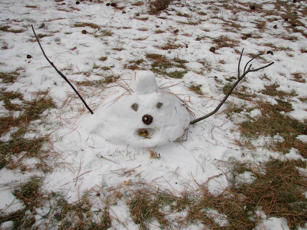 Melting_Snowman_12-16-05.jpg