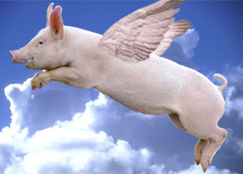 Flying+Pig.jpg