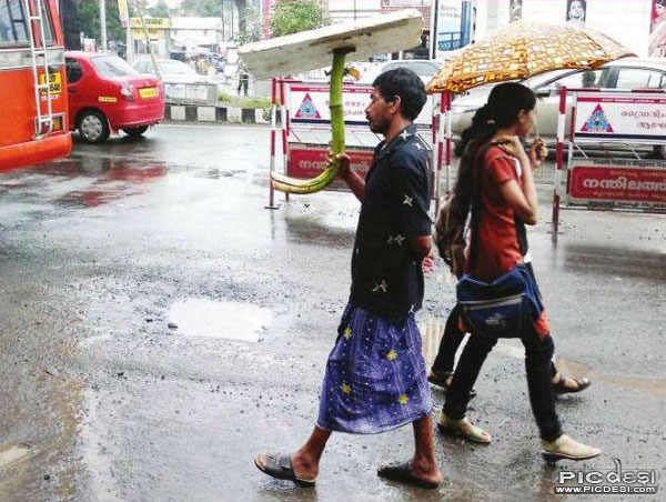 indian-umbrella-funny.jpg