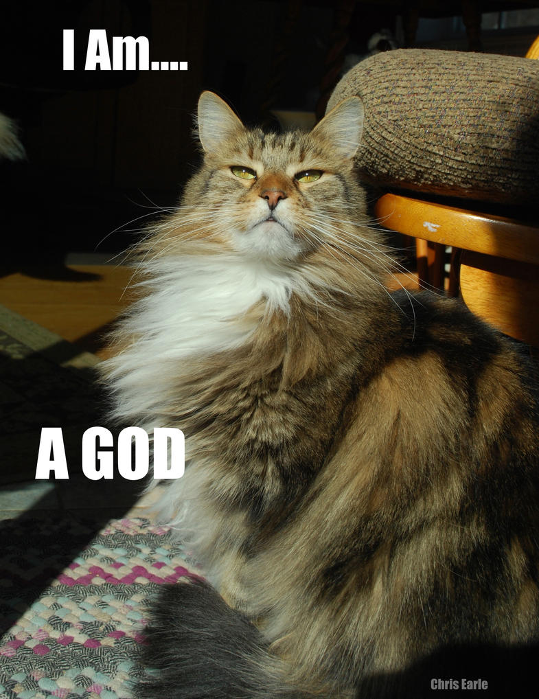 cat_god_lolcat_by_raph1966-d39zppl.jpg