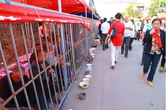 beggars-kept-behind-bars-at-temple-fair-02.jpg