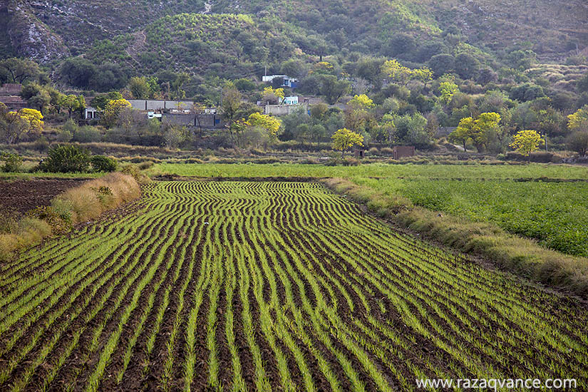 SOON-VALLEY-AUTUMN.jpg