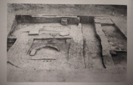 Fig.5 : Remains of ‘fire temple’ from Banawali. 