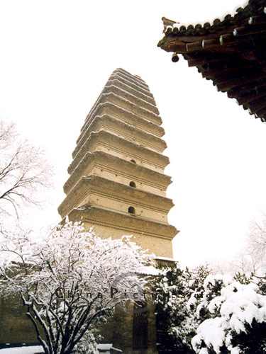 xian-small-wild-goose-pagoda-40114113605412.jpg