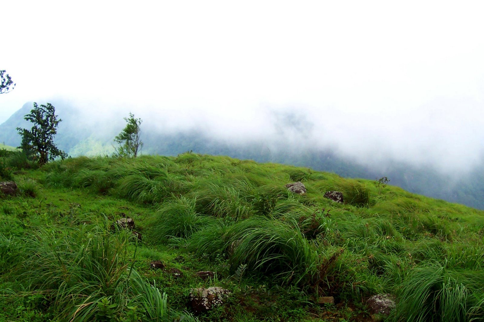 Ponmudi.jpg