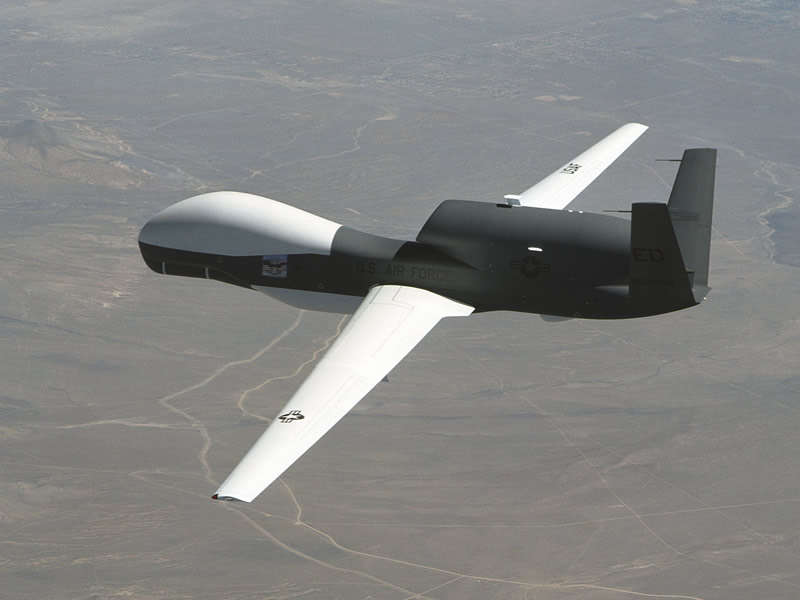 global-hawk-1.jpg