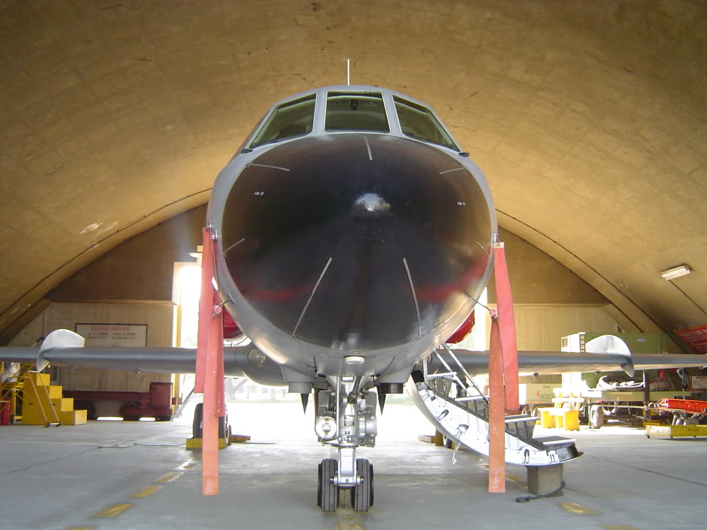 PAF_24_Blinders_Squadron_Falcon_DA-20_front_nose1.jpg