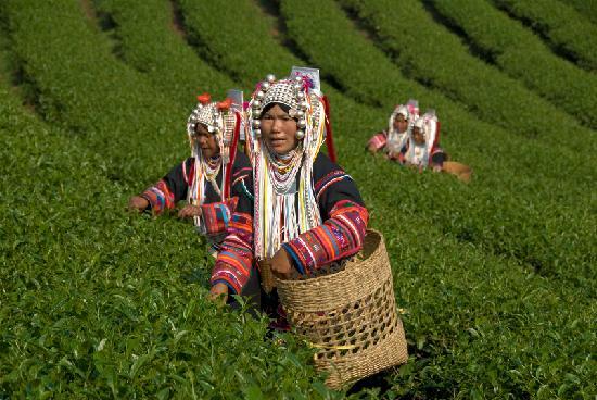 sapa-vietnam.jpg