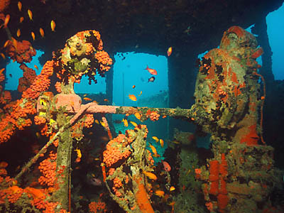 Maldives-Victory-Wreck.jpg