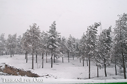 tehran_snowy_day_march_2011_2.jpg