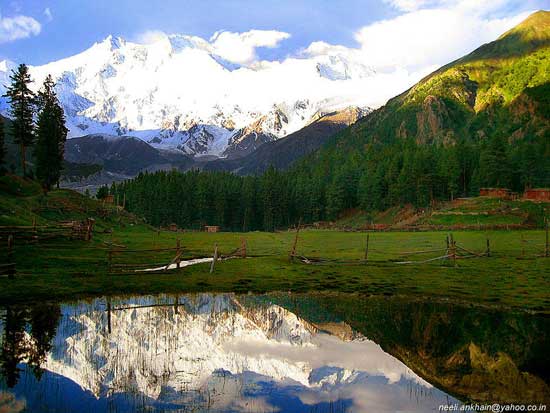 another-beautiful-meadows-in-pakistan.jpg