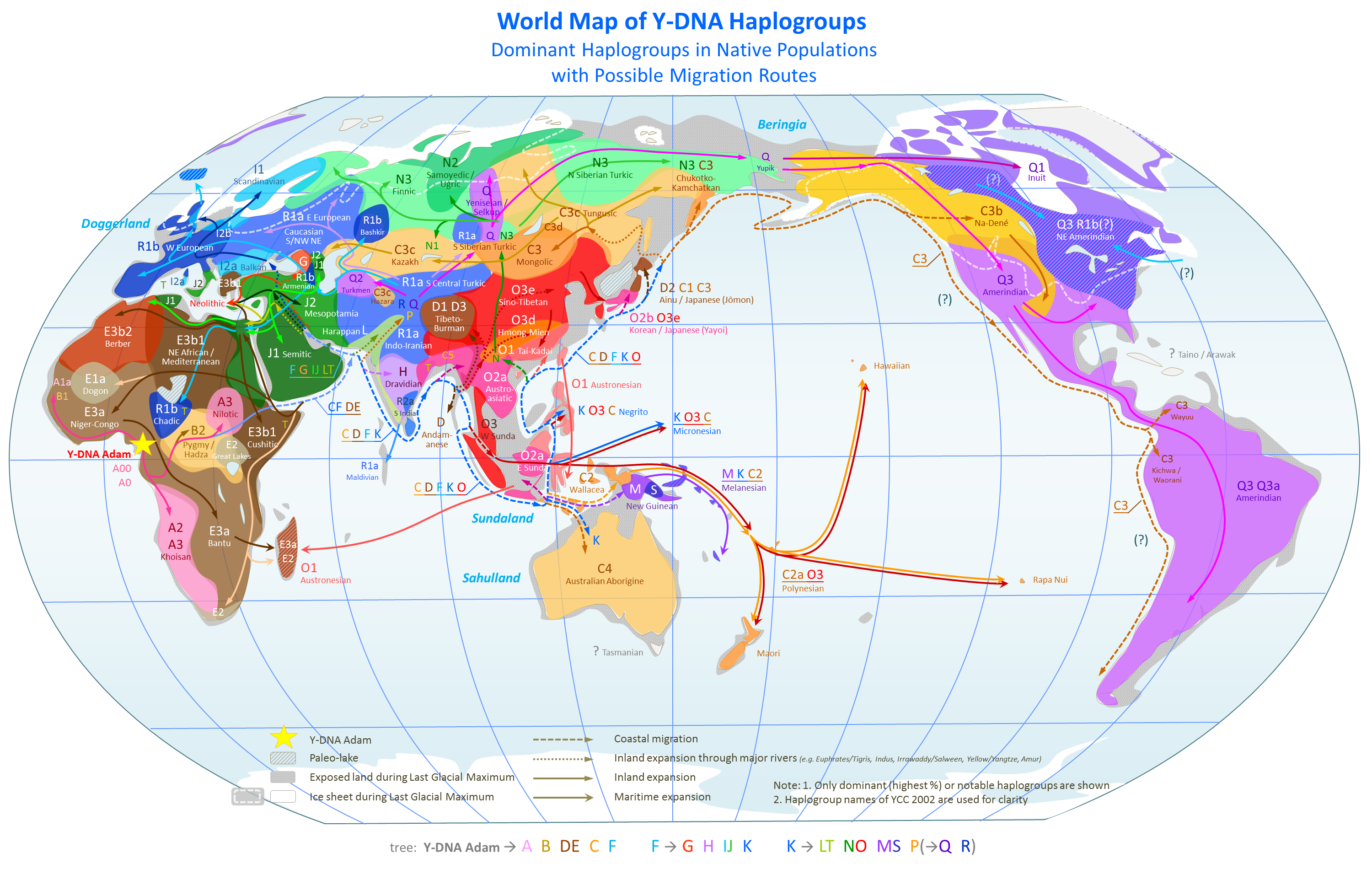 world_map_of_y-dna_haplogroups.png