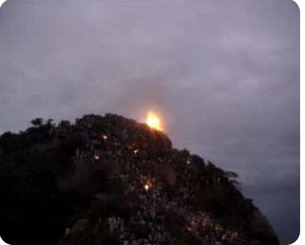 tiruvannamalai_karthigai_deepam1.jpg