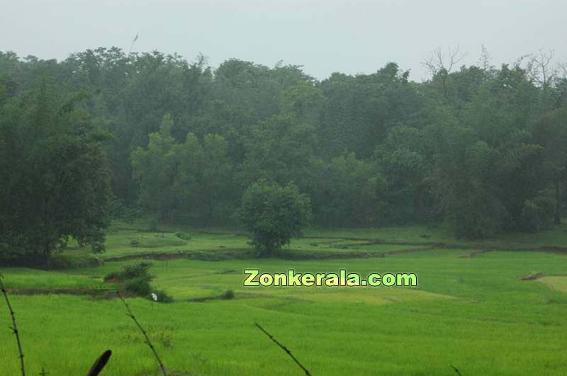 beautiful-kerala.jpg