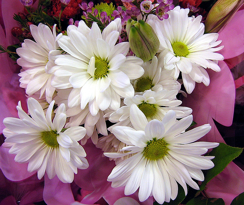 flowers_3.jpg