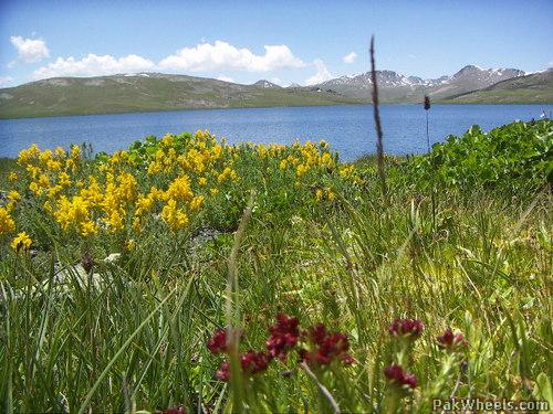 sheosar_lake_%28deosai_-_pakistan%29_S5D_PakWheels%28com%29.jpg