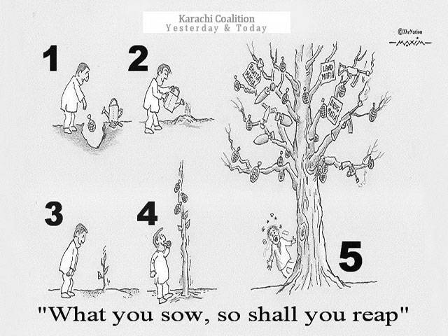 what-you-sow-so-shall-you-reap-7248.jpg