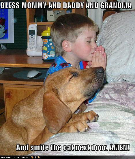 funny+dog+pray+unique.jpg