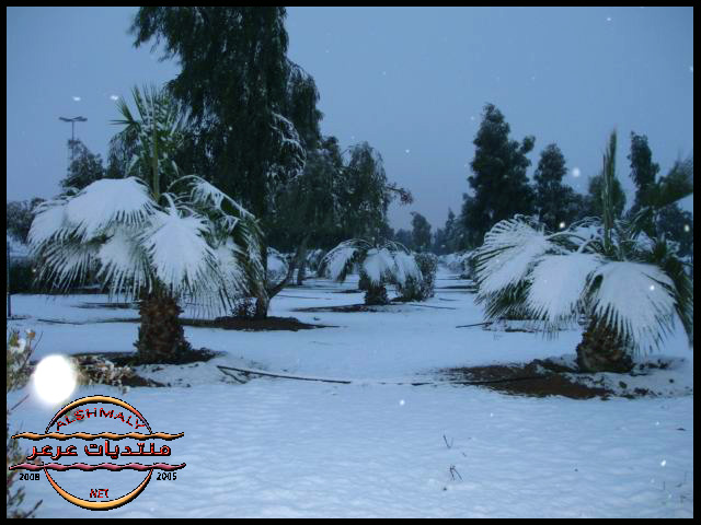 saudi-snow-5.jpg