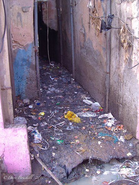 Garbage_sewage_India_Filthy.jpg