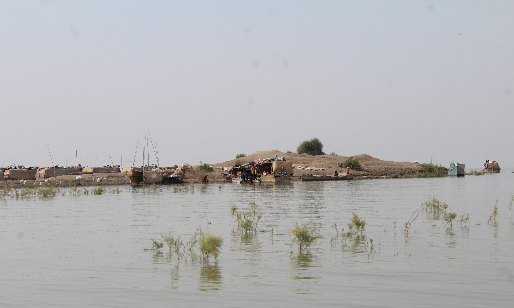 Lake Manchar; Abu Bakar Sheikh