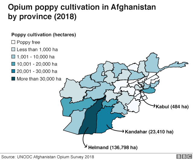 _106598598_afghanistan-640-nc.png