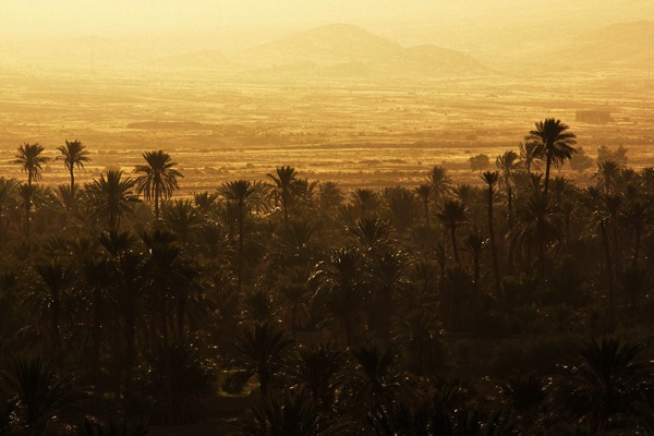 Moroccan-Landscape.jpg