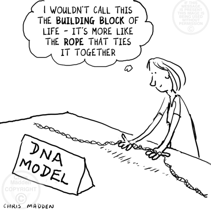 dna-rope-holding-life-together-cartoon.gif