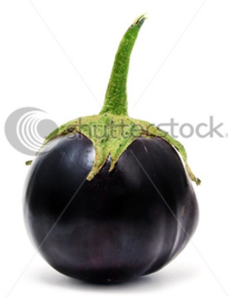 stock-photo-a-round-eggplant-isolated-on-a-white-background-59226370%20(1)_thumb%5B9%5D.jpg