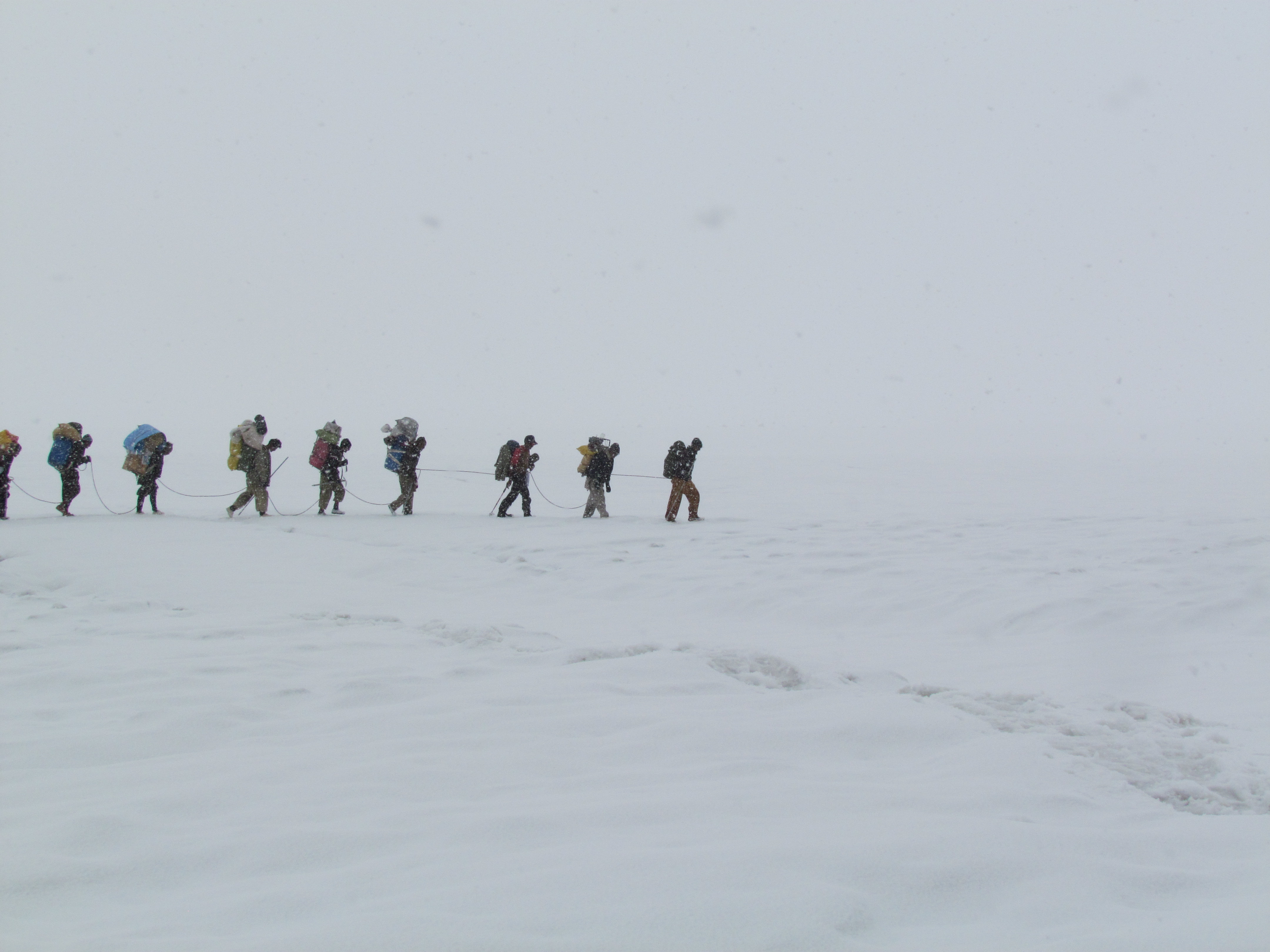 Biafo_Glacier%2C_Snowlake_Trek.jpg