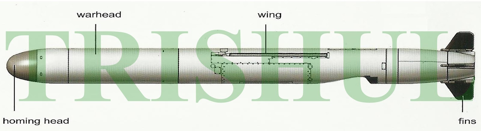 Nirbhay's+ALCM's+conventional+land-attack+version.jpg