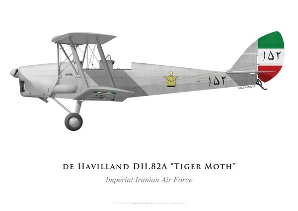 tiger-moth-imperial-iranian-air-force.jpg