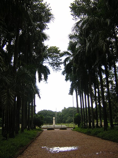 450px-Kolkata_botanical_garden_pathway.jpg