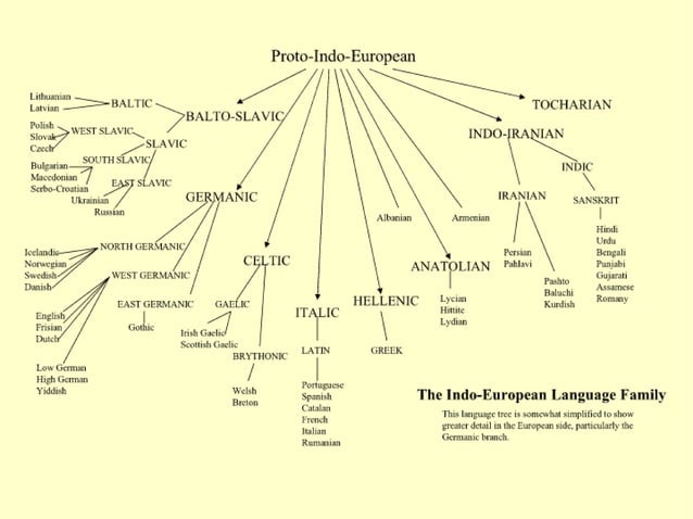 indoeuropean-language-tree-1-638.jpg