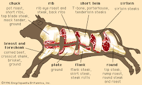 beef+cuts.gif