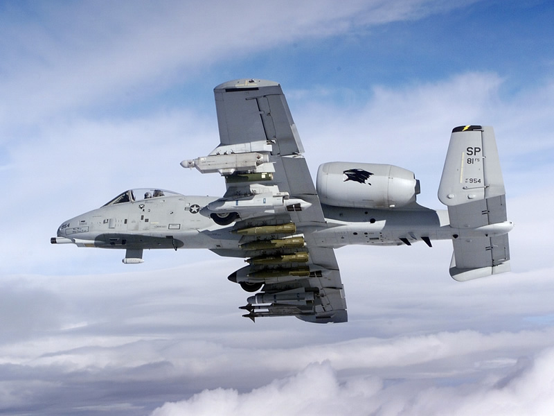 AIR_A-10A_Armed_Over_Germany_lg.jpg