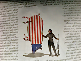 Palin-Hunter-American-Flag-Pig-by-Brian-Stauffer-2008.jpg
