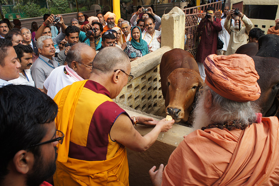 Dalai-Lama-Mathura-G1.jpg