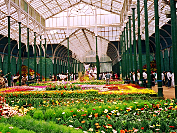 LalBagh_8137.jpg