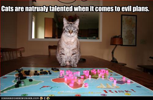funny-pictures-cat-has-evil-plans.jpg