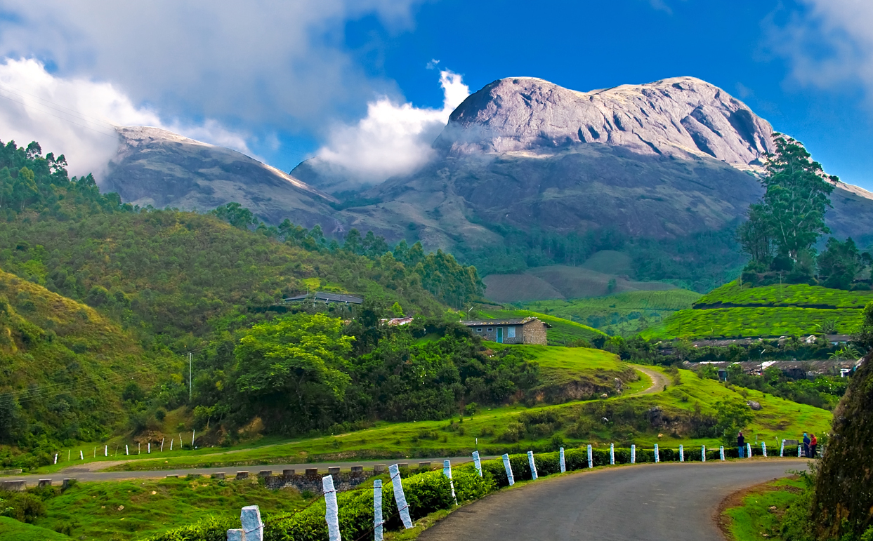 Munnar_hillstation_kerala.jpg