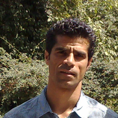 Hadi_Saei_2008.jpg