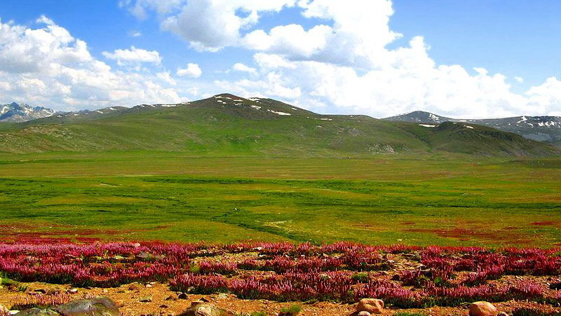 06%20Deosai%20in%20Spring.jpg