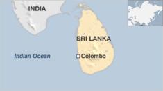 _74375501_srilanka_colombo_0812.gif