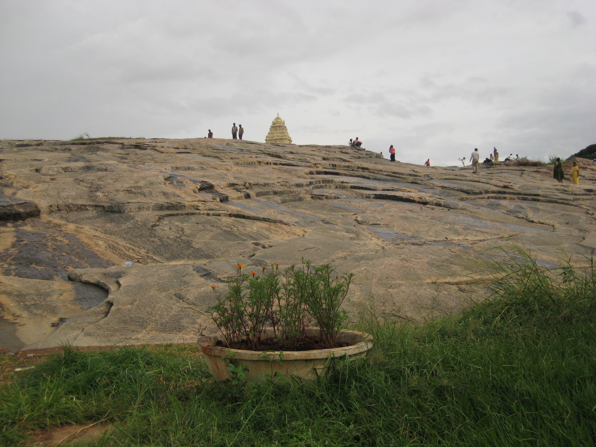 Lalbagh_Botanical_Garden,_Bangalore.jpg