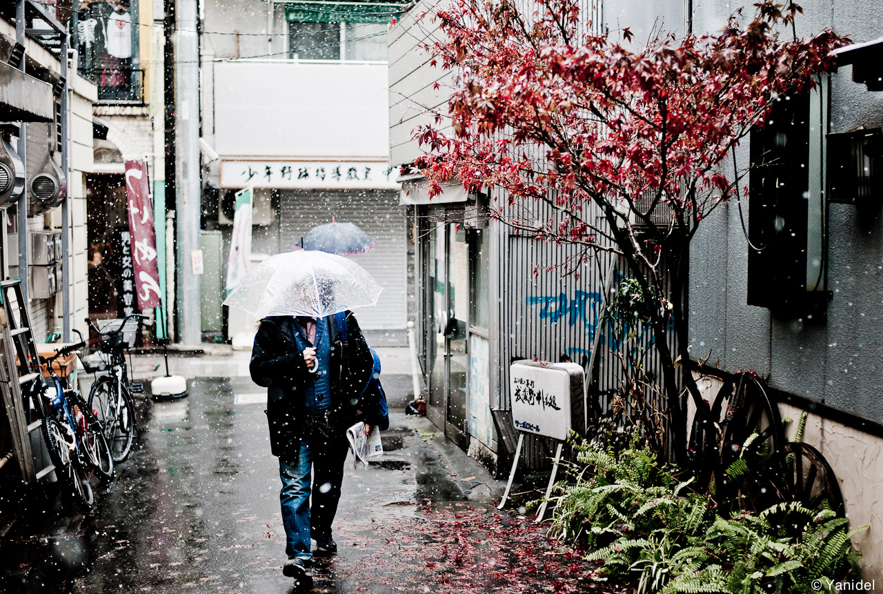 Tokyo-Winter-2.jpg