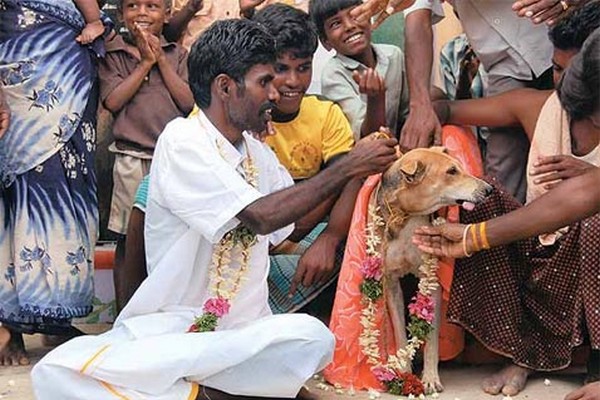 A-man-married-a-dog-in-India.jpg