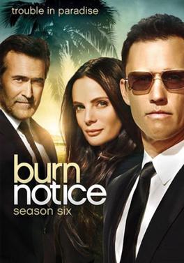 BurnNoticeSeason6DVD.jpg