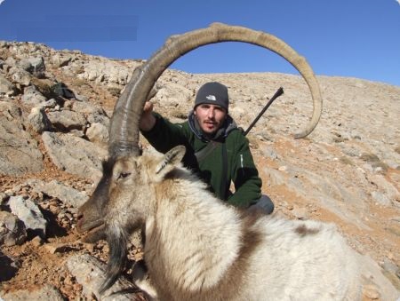 IBEX-BEZOAR-IRAN-1.jpg